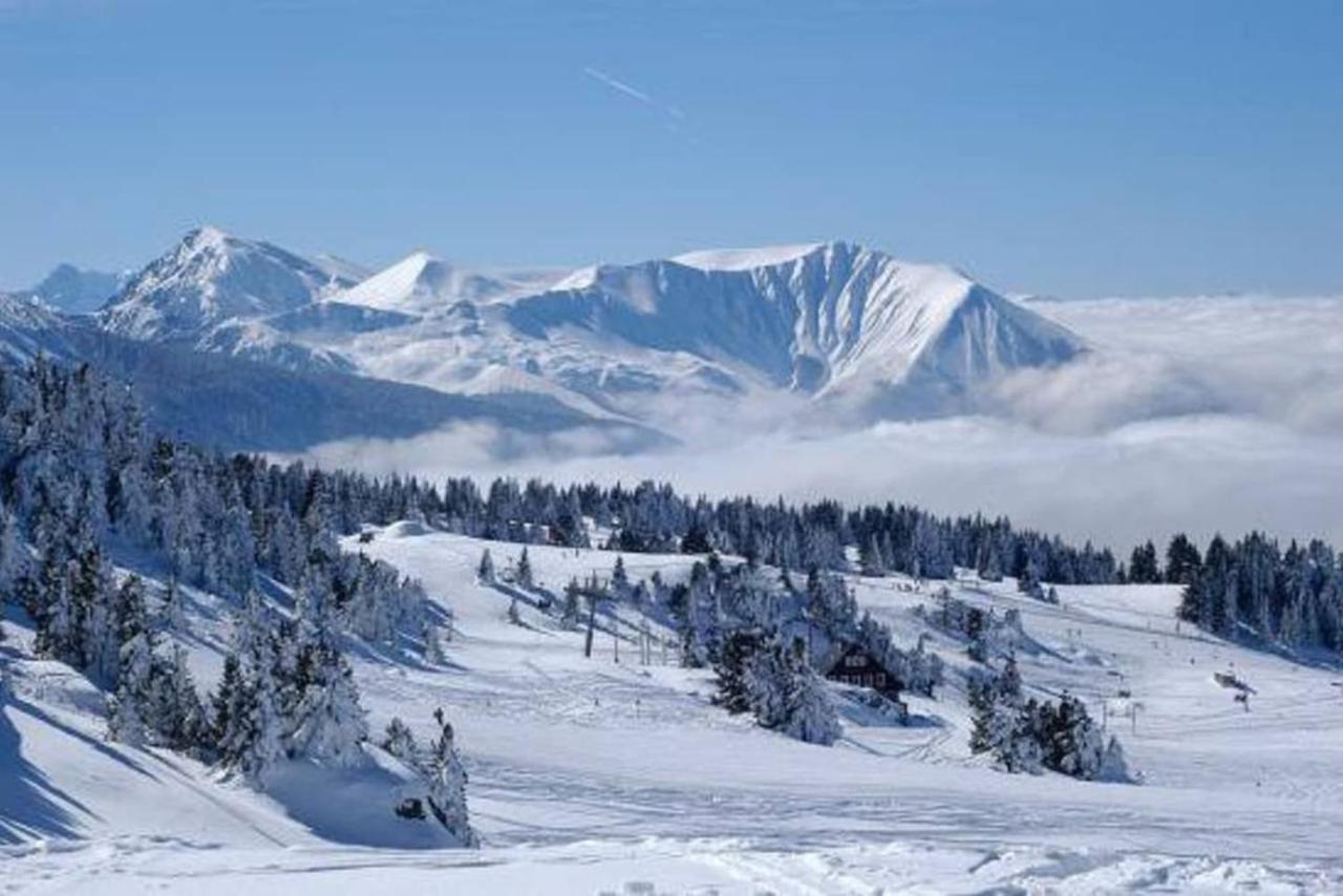 Charmant Studio Cabine Cocoon A 100 M Des Pistes シャンルッス エクステリア 写真