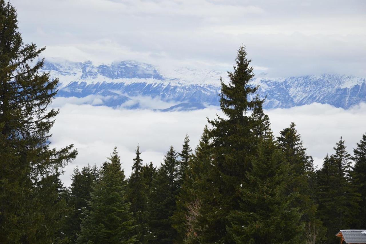 Charmant Studio Cabine Cocoon A 100 M Des Pistes シャンルッス エクステリア 写真